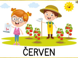 Akce v červnu